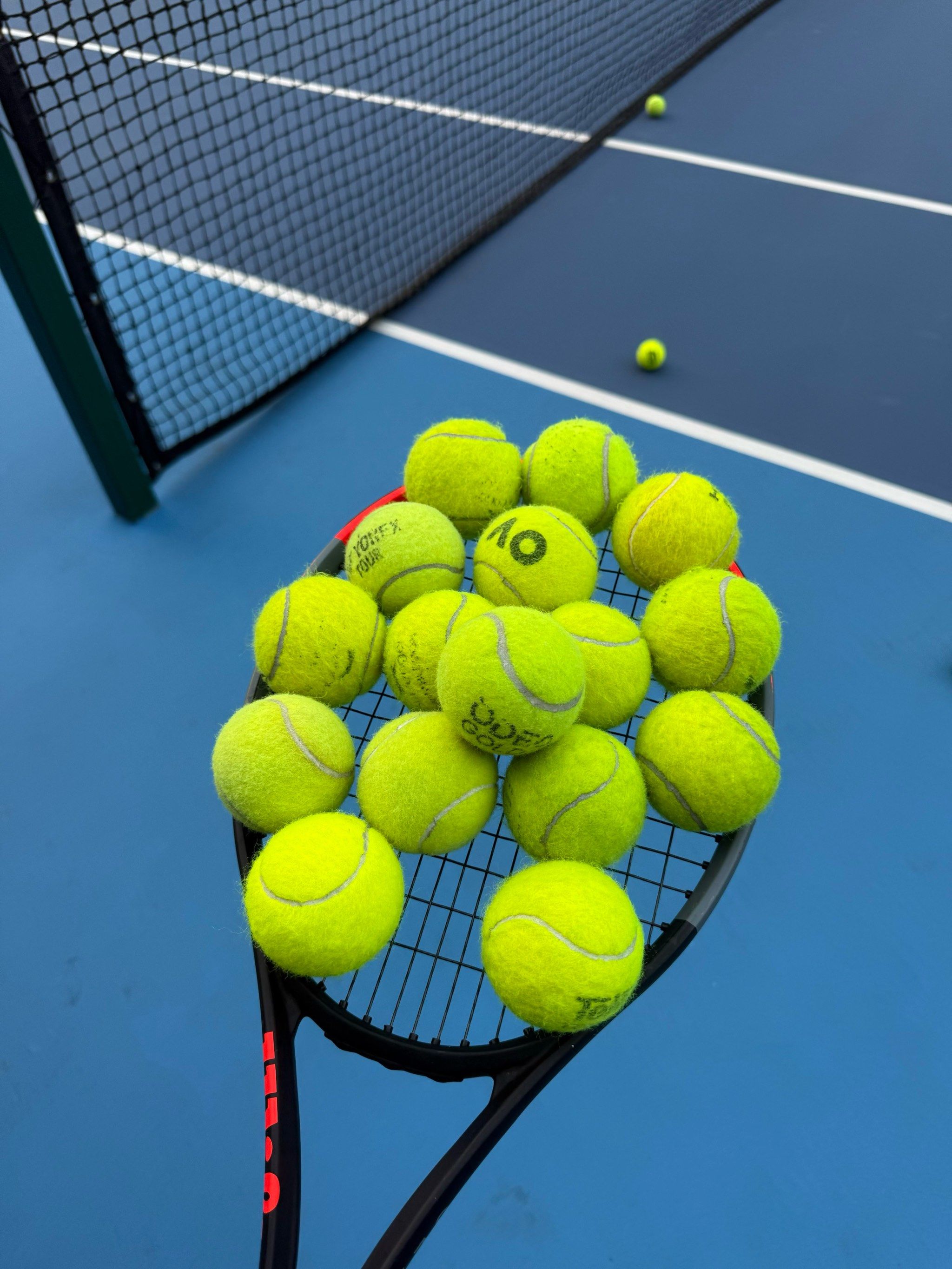 的兴趣可以 的兴趣可以