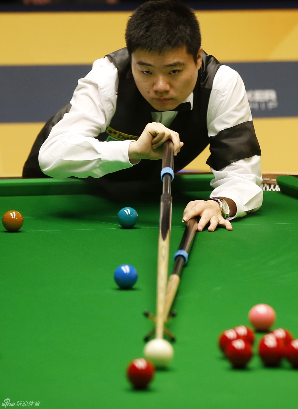 的明确导向 的明确导向